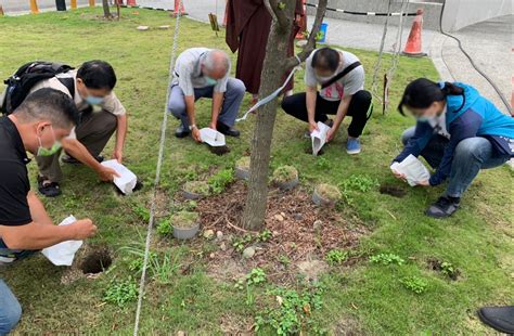 環保樹葬|環保葬5種類！全台樹葬、花葬設施、費用、地點總整。